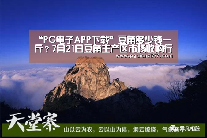 “PG电子APP下载”豆角多少钱一斤?7月21日豆角主产区市场收购行情(图2) PG麻将登录入口