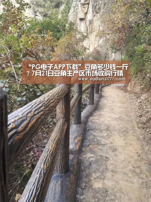 “PG电子APP下载”豆角多少钱一斤?7月21日豆角主产区市场收购行情(图3) PG电竞