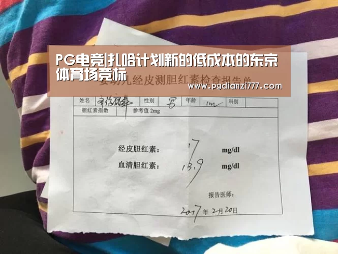 PG电竞|扎哈计划新的低成本的东京体育场竞标(图1) PG电竞