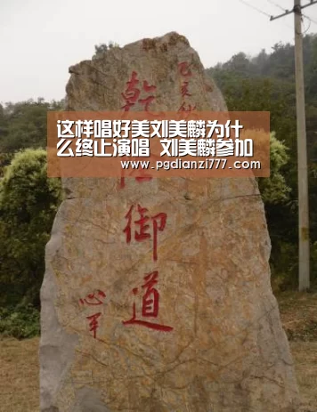 这样唱好美刘美麟为什么终止演唱 刘美麟参加过哪些节目:PG电子APP下载(图2) PG电竞