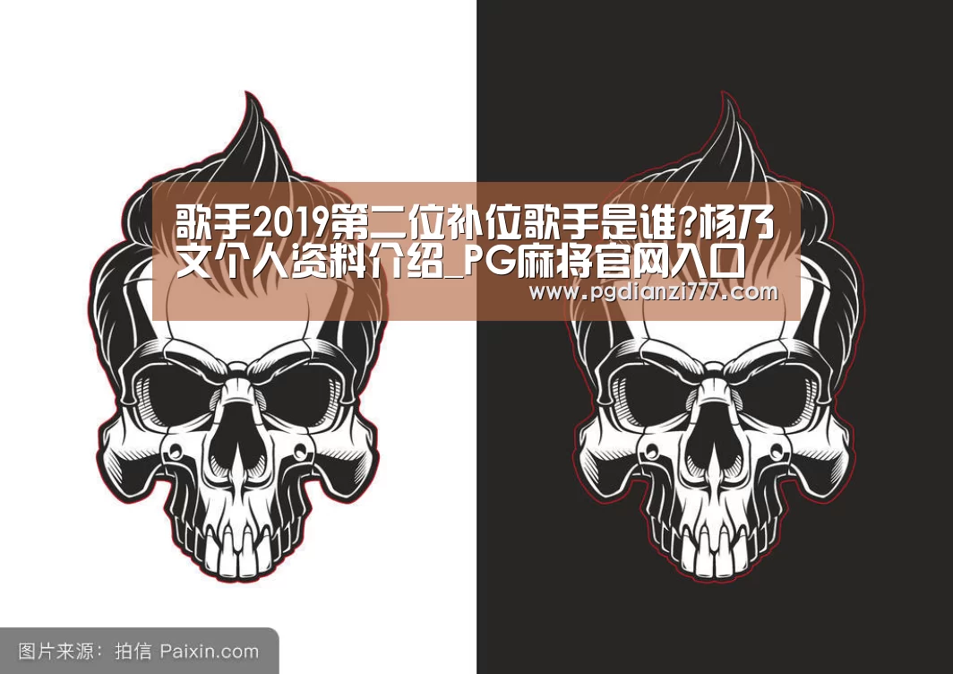 歌手2019第二位补位歌手是谁?杨乃文个人资料介绍_PG麻将官网入口(图2) PG麻将官网入口