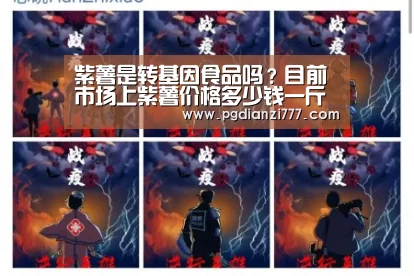 紫薯是转基因食品吗?目前市场上紫薯价格多少钱一斤?|PG麻将官网入口(图1) PG麻将登录入口