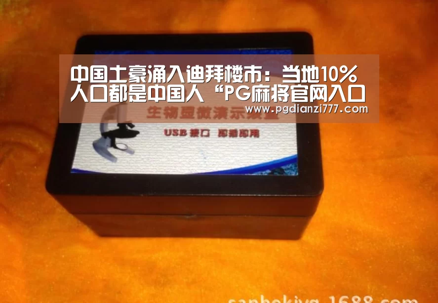 中国土豪涌入迪拜楼市:当地10%人口都是中国人“PG麻将官网入口”(图1) PG麻将登录入口